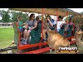 Timbavati Wildlife Park Safari Train Ride