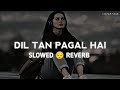 Dil Ta Pagal Hai - Lofi - (Slowed+Reverb) - Babbu Maan || Punjabi Sad || Lyrics || Lofi Soft Music
