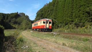 いすみ鉄道キハ20  1303