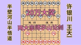 中国象棋： 王天一激战许银川，争夺20万奖金，宗师级别颠峰决战！