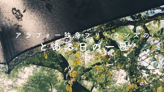 40歳アラフォー独身フリーランスのとある日の一日 - タリーズでノマドカフェ、ランチ、美術館で水木しげる展、庭園散策