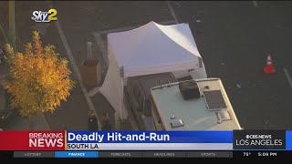 Pedestrian struck and killed by hit-and-run driver near South LA
