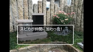 大阪石材本社展示場（ストーンブティック）をご紹介！関西最大級の墓石を展示し、お墓を考えるなら、先ずはこちらをご覧ください。近くに本社加工場も併設していますので、加工・彫刻の現場もご覧頂けます。