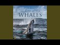 The Mourning Mother