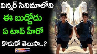 Do You Know Winner Telugu Movie Boy | Charith Maanas | Viral Video | TopTeluguMedia