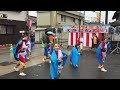 さるくcity403遊歩隊～一蓮風雅～ 市比野温泉よさこい祭り