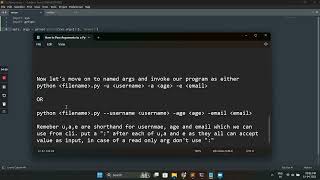 Python CLI Arguments and flags