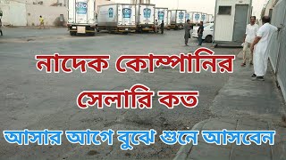 Nadec Company বেসিক সেলারি কত