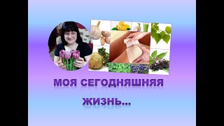 моя сегодняшняя жизнь...