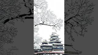 ★松本城 と降雪🏯❄️‎【雪が降る】by yuria #松本城 #松本城降雪 #松本城雪が降る #降雪 #雪が降る