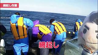 決め手くんが行く！青森県の農林水産業【水産業編】