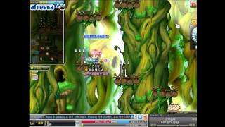 [메이플스토리] BJ팡이요의 존X팸달리기대회 시즌2(4) maplestory