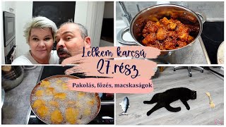 Szezámos csirke, macskaságok, pakolászás