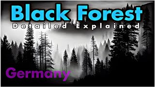 Black Forest Germany & Austria Nature Ultra High Definition | InsightfulLensTv