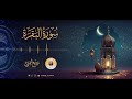 سورة البقرة لطرد الشياطين وجلب البركة surat al baqarah wadee al yemeni