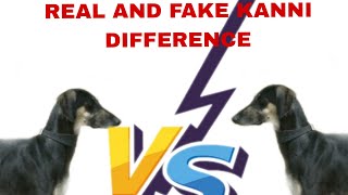 KANNI DOGS ORIGINAL AND FAKE BREED DIFFERENCES 🐕🐕