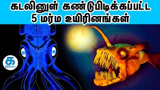 5 MYSTERIOUS UNDERWATER CREATURES | கடலினுள் கண்டுபிடிக்கப்பட்ட 5 மர்ம உயிரினங்கள் | katrathu media