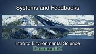 Systems and Feedbacks