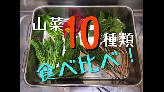 春の山菜10種盛り、天ぷら作って食べ比べ。