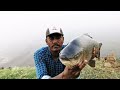 fish hunting 🎣🐟 big rohu fishes to catching single hook fishing amazing fishing video