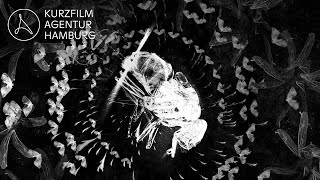 The Death of an Insect - A Short Film by Hannes Vartiainen and Pekka Veikkolainen