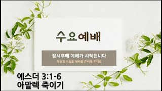 [포항큰숲교회]  2022.6.22  수요성령집회