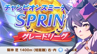 チャンピオンズミーティング SPRINT 2024 ナリタブライアン 【ウマ娘】