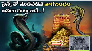 నాగబంధనం మిస్టరీ (6 వ గది...) || padmanabha swami temple mystery in telugu