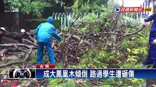 急雨轟台南 市區多處積水.樹倒砸學生－民視新聞