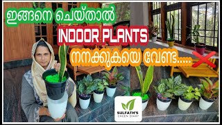 ഇൻഡോർ പ്ലാന്റ്സ് ഇനി നനയ്ക്കേണ്ട | Indoor Plants Watering tips | തിരി നന /Wick Irrigation/Thiri nana