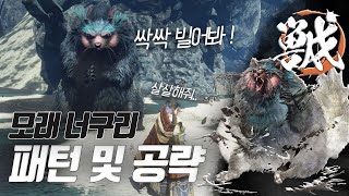 와일드하츠 '모래 너구리' 패턴 및 공략