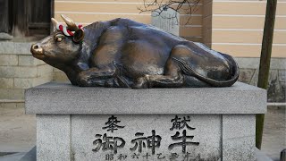 【带着爸妈去日本旅行】Day2：柳川游船丨鳗鱼饭丨太宰府丨天满宫丨五边形碗的一蘭拉面 (Vol.11)