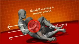 Judo Techniques: Human Weapon