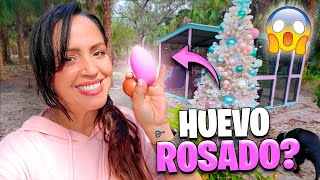 Un Huevo Rosa?! 😱 No Lo Puedo Creer 🤯 Sandra Cires Vlog