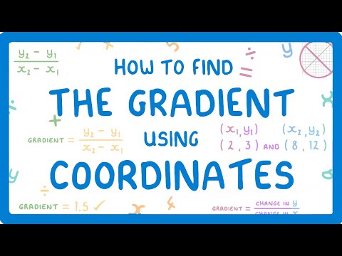 What are the coordinates of the point (- 4 2?