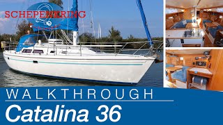 Catalina 36 for sale | Yacht Walkthrough | @ Schepenkring Lelystad | 4K