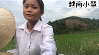 帮阿香去放牛，今天小慧唱歌给你们听