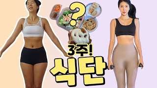 눈바디혁명? 3주 다이어트 식단 총정리. feat.일반식 , 닭가슴살x