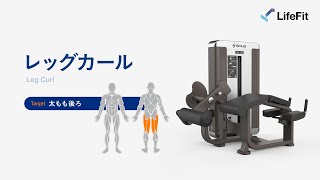 レッグカールの使い方(SHUA)