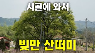 시골에 내려와서 저는 현재 빚만 산떠미 입니다.