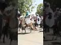 tawagar kauran katsina a wurin hawan bariki na karamar sallah shekerar 2023. eidulfitr