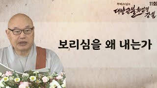 우리는 어떤 이유로 보리심을 내게 되는가-무비스님의 대방광불화엄경 강설 11회