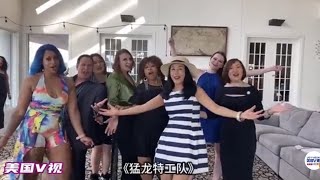 高娓娓：华裔女记者深陷黑手党老巢？中国功夫横扫纽约黑帮？痴迷中国功夫的美国导演把中国功夫片拍成啥样了？