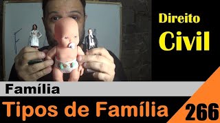 Direito Civil - Aula #266 - Tipos de Família (É isso!)