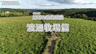 足寄の放牧酪農〜渡辺牧場〜