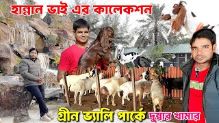 হান্নান ভাই এর খামার উন্নত ও ক্রস জাতের ছাগল ও পাঠা সেই সাথে দুম্বা। গ্রিনভ্যালি পার্ক দুম্বার খামার