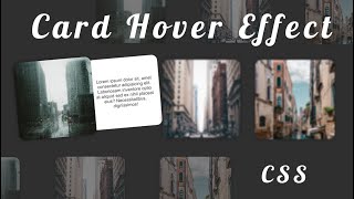 Card Hover Effect | Cool Hovering Effect | Pure CSS | HTML | Techy Programmers