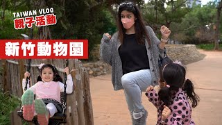 聖誕節前來新竹動物園！台灣親子活動超好玩 TAIWAN VLOG