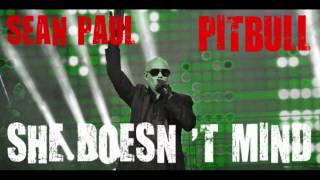 Sean Paul ft Pitbull - She Doesn 't mind (WORLDWIDE RMX)