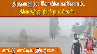 திருவாரூர்ல கோயில காணோம்.. திகைத்து நின்ற மக்கள்... காட்டு காட்டிய இயற்கை!